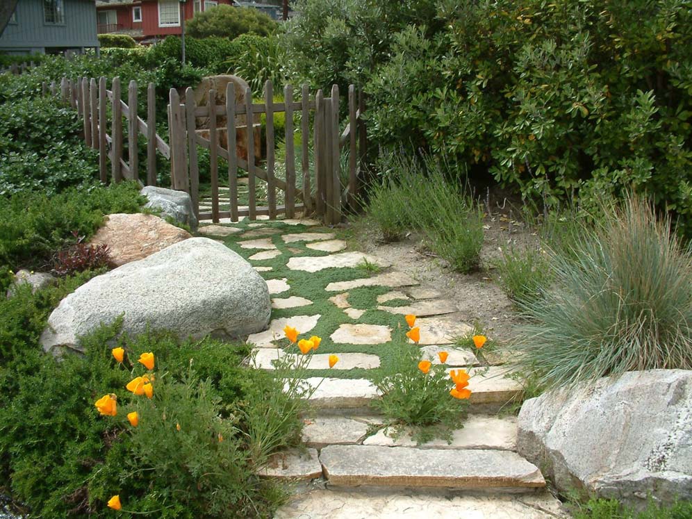Whimsical Pathway